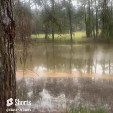 God is Good #fyp #shorts