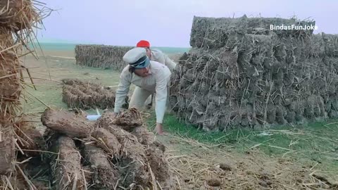 Top comedy 🤣🤣😂 Totally Amazing funny Video Try To Not Laugh 🤣🤣🤣