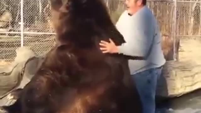 The Size of This Bear 🐻
