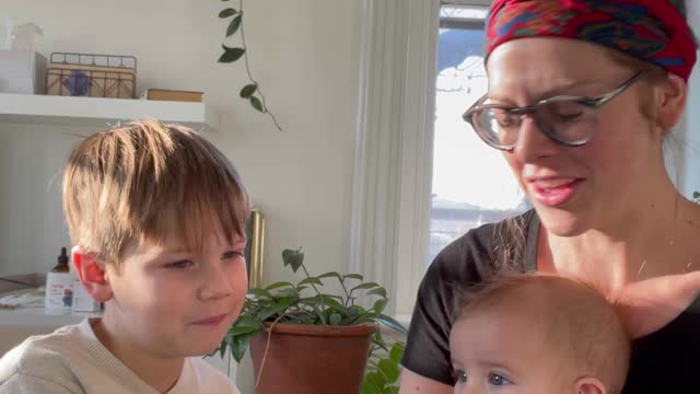 Vaccine Ingredient Chat with my 5 Year Old