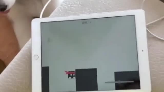 It's fun to play