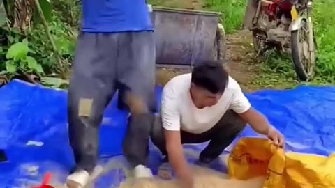 Funny videos
