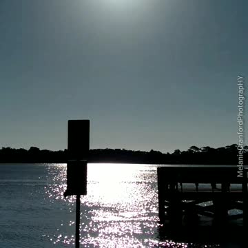 Happy Monday! Happy 7-11 Day!