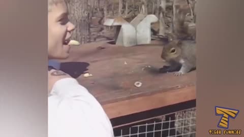 Top FUNNY SQUIRREL VIDEO -Funny Animal Videos #01