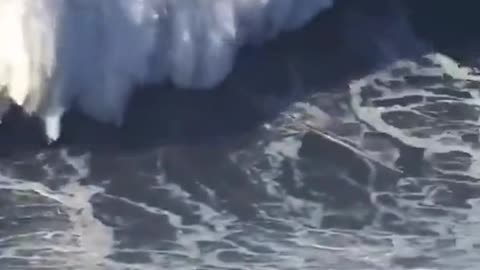 GERMAN PRO SURFER RIDES II5-FOOT WAVE IN PORTUGAL