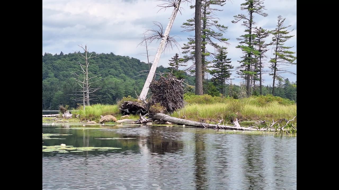 Mason Lake