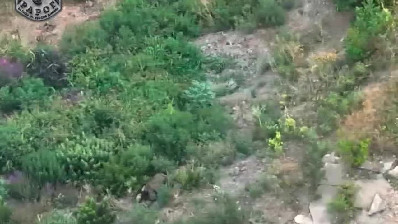 Relentless Drone Strikes on Russian Infantry