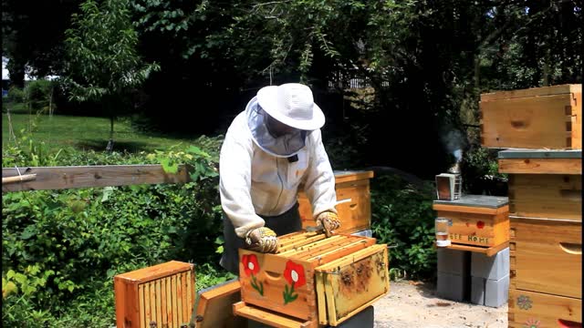 NEW BEEKEEPER LOOKING FOR SOME LOVIN !!