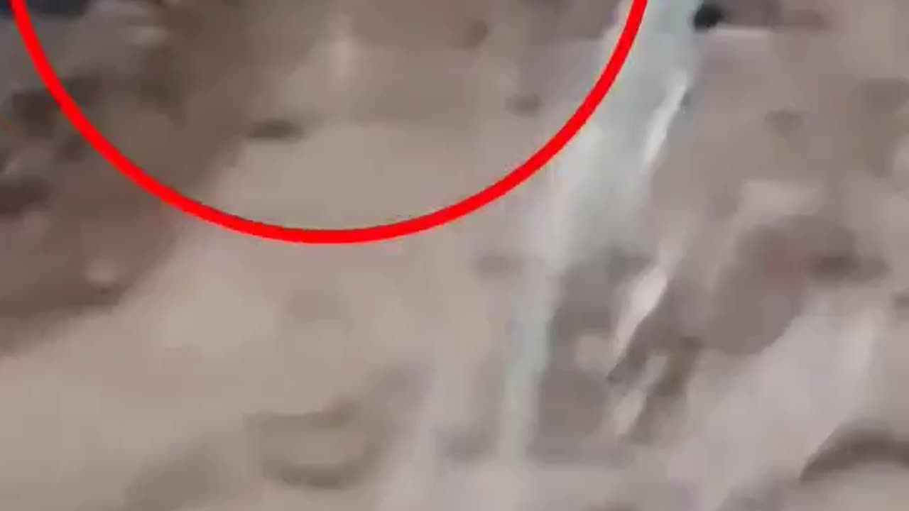 #flood #floodsnews #viralvideo #infolab 😥 #foryoutube 😥 #fypシ #foryoutube #trending #news