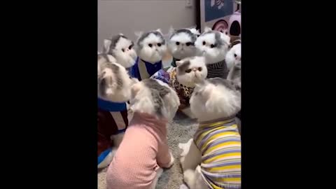 Adorable Non Humans