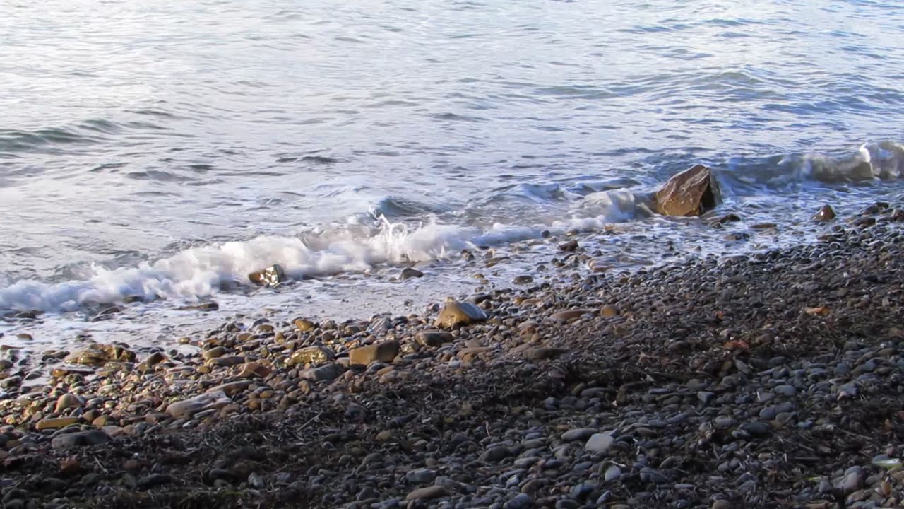 Mare Punta grossa - Morje Debeli rtic Sept. 2024