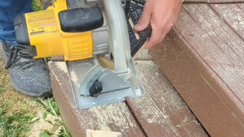 Chicken coop roof rafters