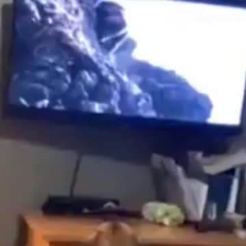 Kittens & Pups-Cutest 2021-Hilariously Cute 6