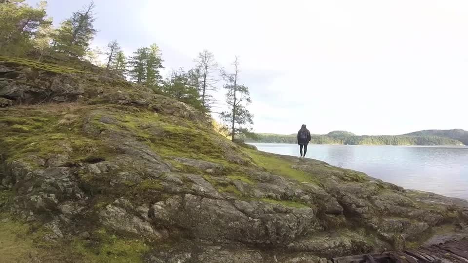 Jeep Life-Quadra island