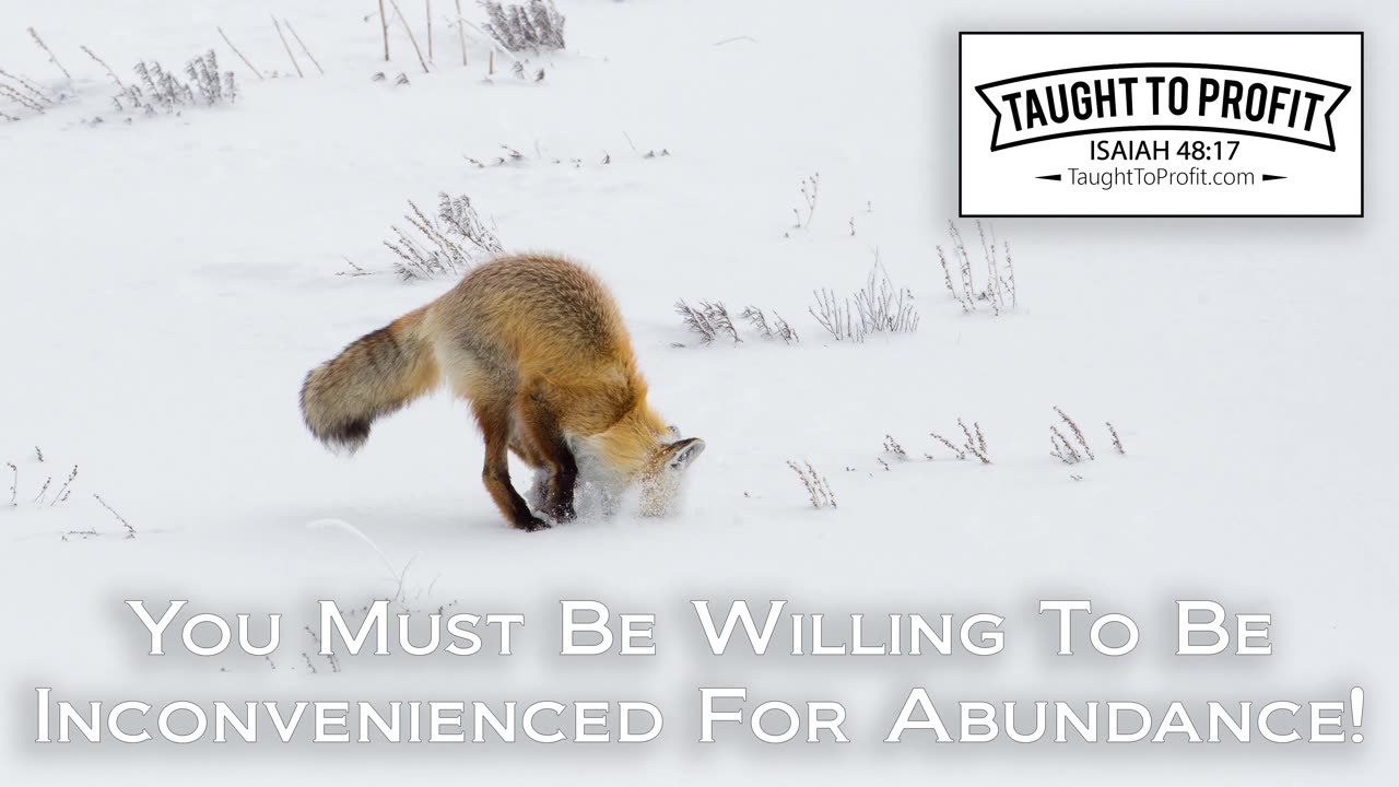 You Must Be Willing To Be Inconvenienced For Abundance!