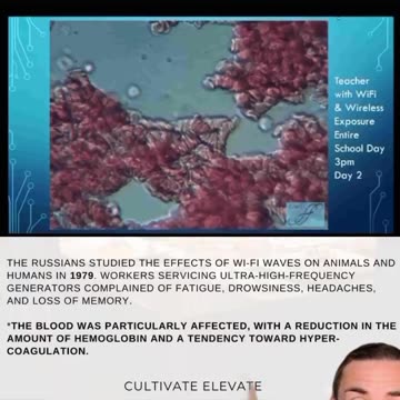 What does WiFi do to your blood