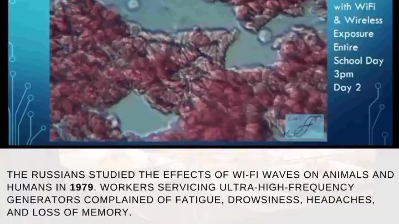 What does WiFi do to your blood