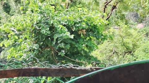 Feel The Nature