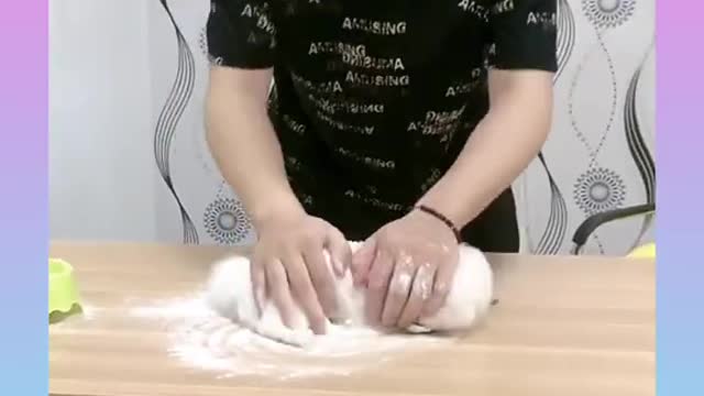 119.54_ Cute and Funny Dog Videos Compilation _#short