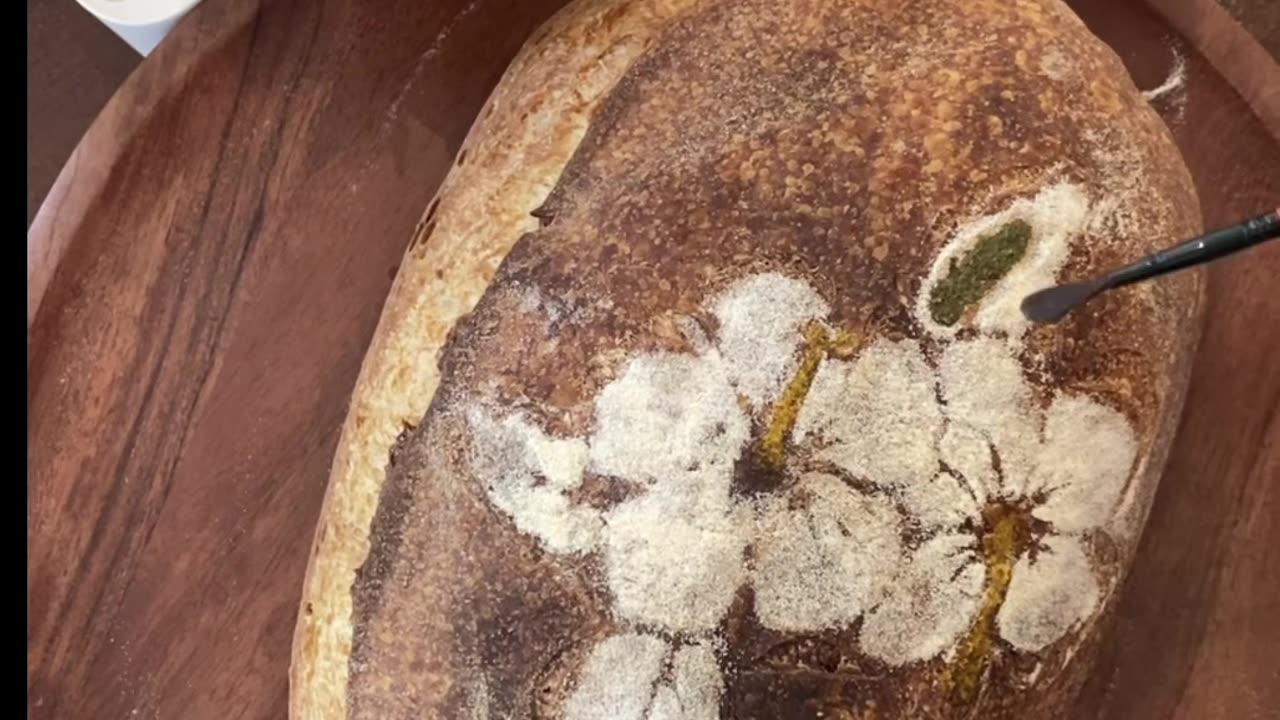 My Sourdough Hibiscus Timelapse (Plus Poco Lame Debut!)