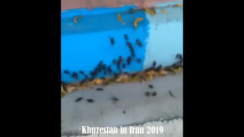 World Is Strange pt.109