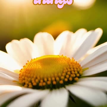 enjoy the lillet things