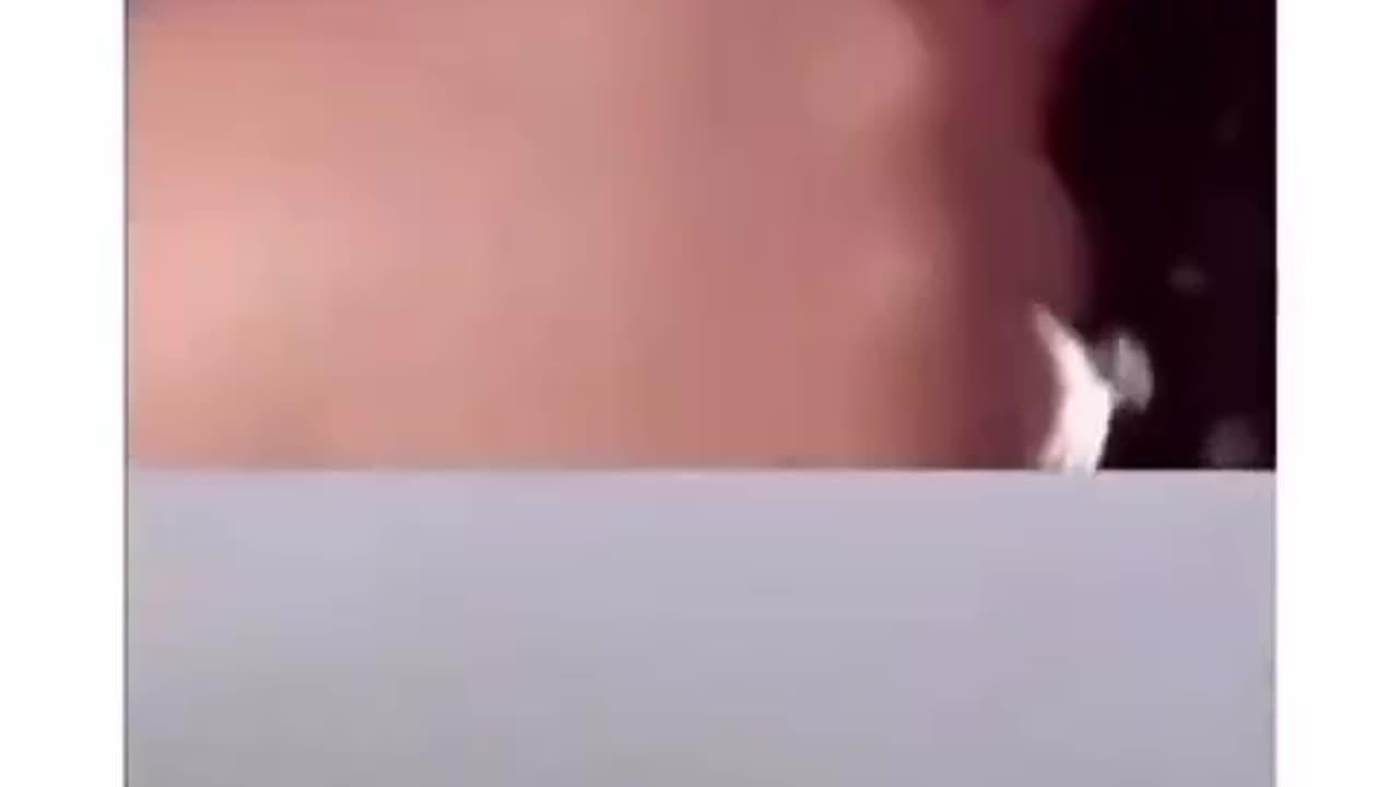 Bad boy