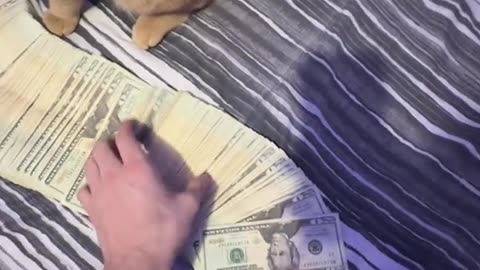 Billionaire💵🧠