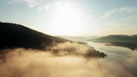 Nein zum Great Reset - Deine Freiheit gehört Dir !