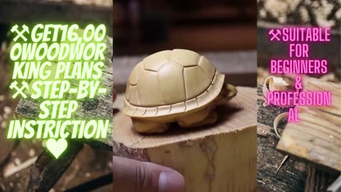 Wood Carving-beautiful Tortoise