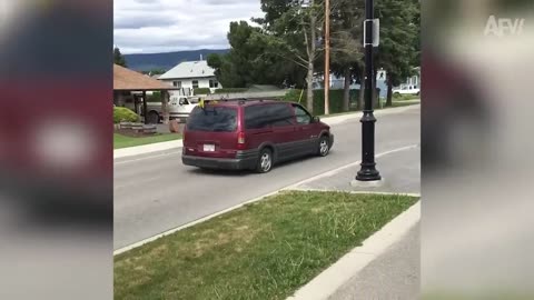 These FUNNY Driving Fails Will FUEL Your Laughter