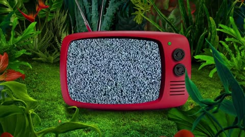 1 Min Retro Tv No Signal White Noise