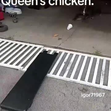 The “Food” Being Sold To Americans, Should Be Illegal To Be Told To Americans