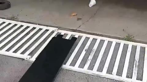 The “Food” Being Sold To Americans, Should Be Illegal To Be Told To Americans