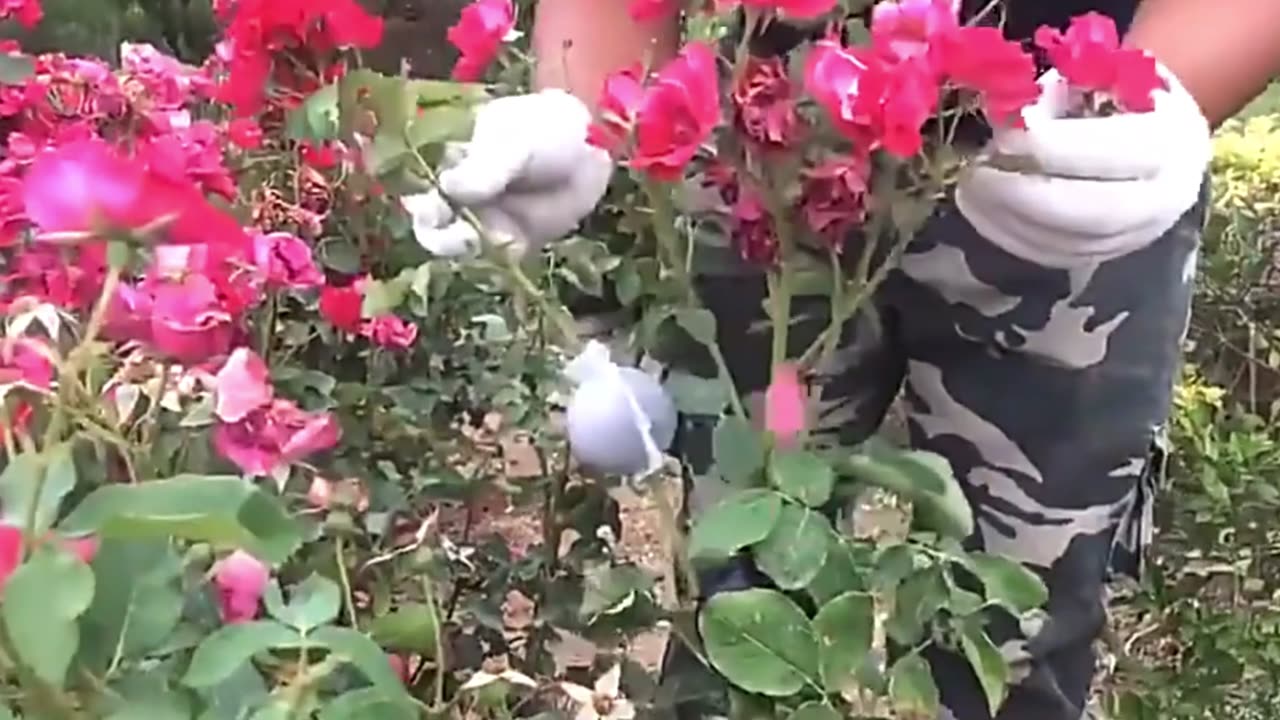 10Pcs Rooting Ball Box Grafting Tool Reusable High Pressure Tree Rooter Air Layering Propagati