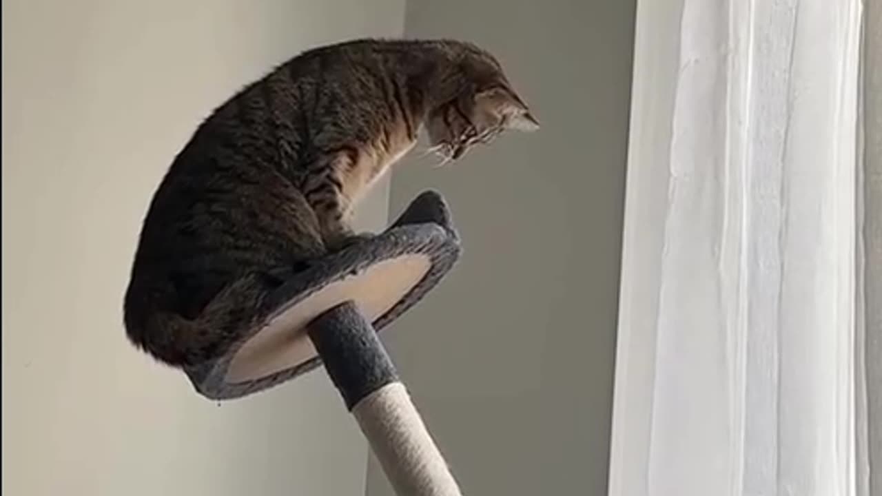 Timberrrrrrrrrrrrrrrrrrr 😂🤣😂