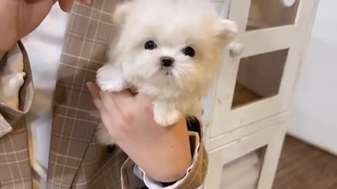 Lo mas tierno que veras el dia de hoy