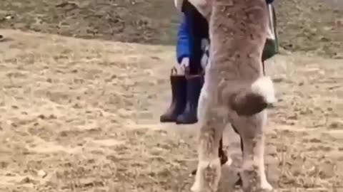 True Love Needs No Words #shorts #shortsvideo #video #viral