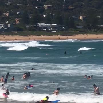 Guy tries to get on his surfboard but fails