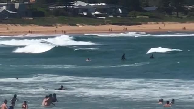 Guy tries to get on his surfboard but fails
