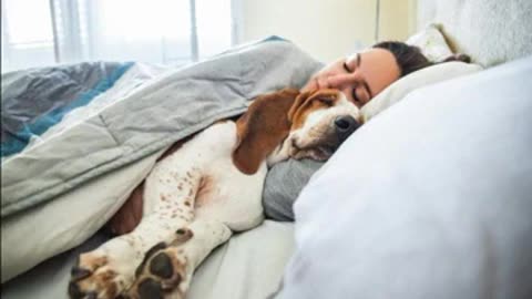 Trunks do Futuro - Geração Y e a noção social do tempo