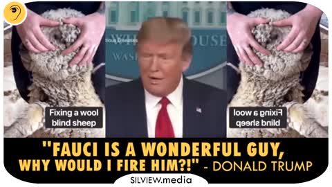 "FAUCI IS A WONDERFUL GUY, WHY WOULD I FIRE HIM?"