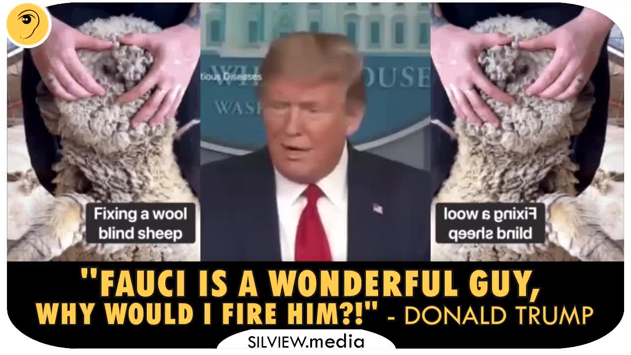 "FAUCI IS A WONDERFUL GUY, WHY WOULD I FIRE HIM?"