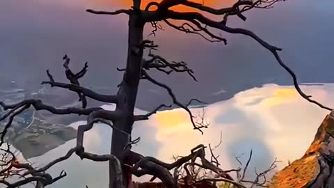 We got up at sunrise.