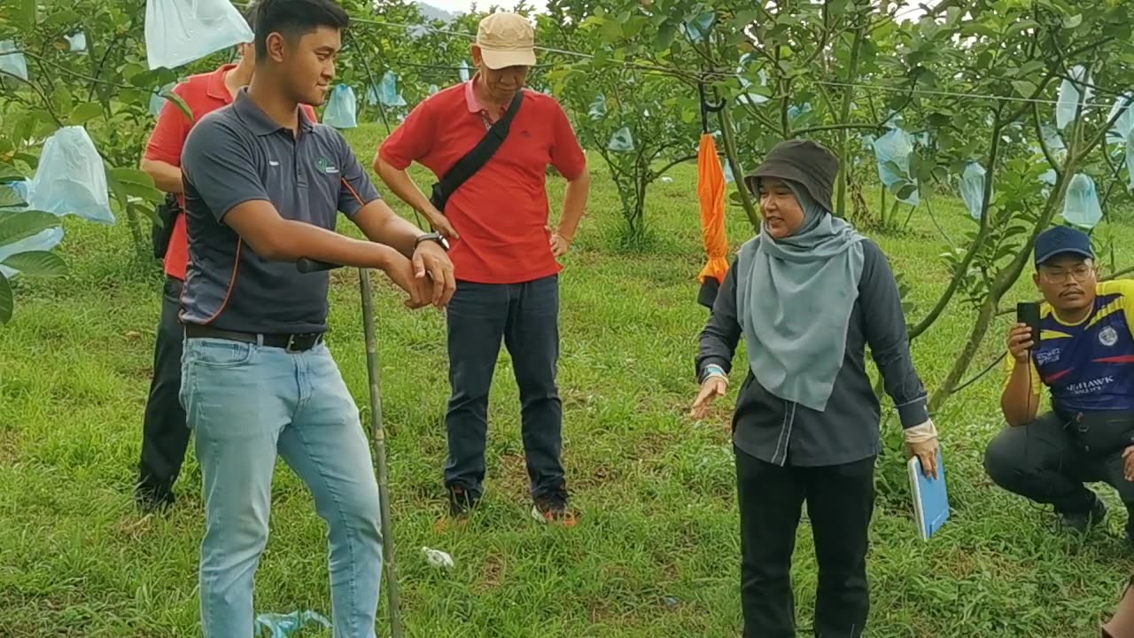 P10 Guna Auger Dapatan Sample Untuk Analisa Tanah, Kalumpang, 26 Jun 2024