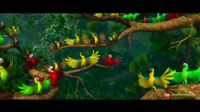 Birds all activities on Hookah bar song.