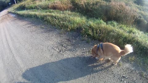 August 24th, 55º Flynn appears to be back on schedule today