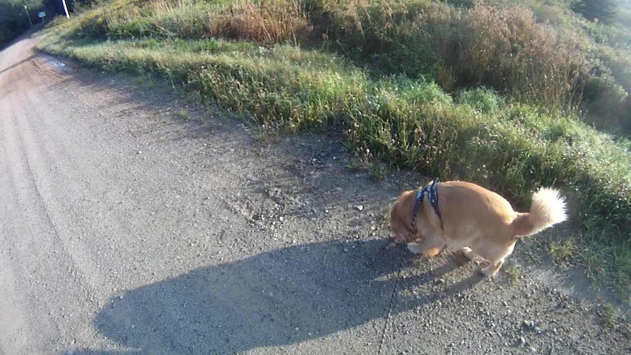 August 24th, 55º Flynn appears to be back on schedule today