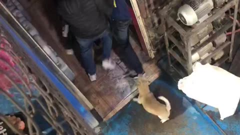 Video registró riña a cuchillo en un lavadero de carros en Girón