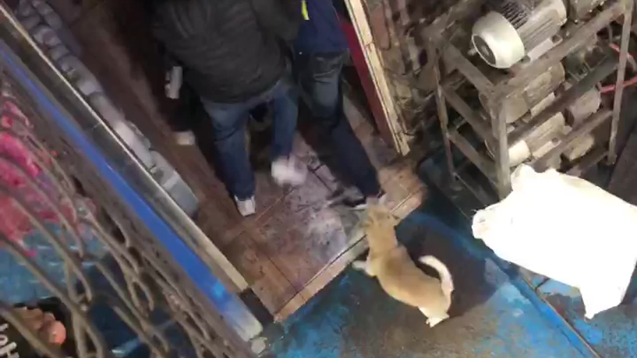 Video registró riña a cuchillo en un lavadero de carros en Girón